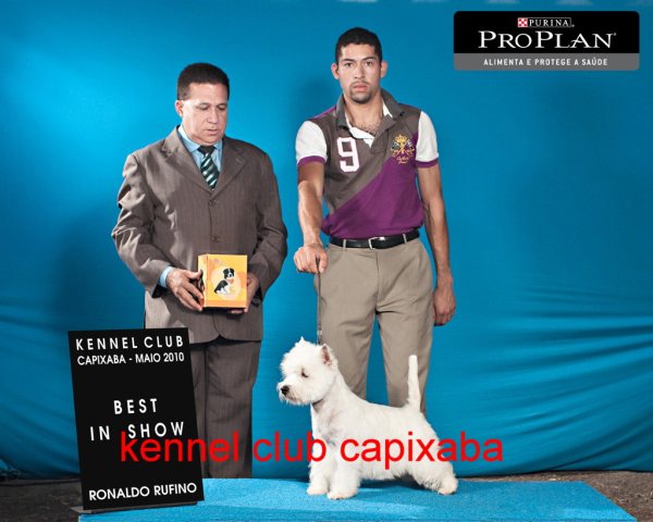 Clique sobre a foto para fechar